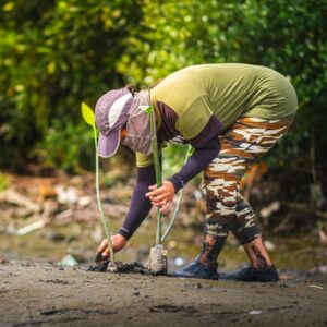 Sustainable Ecosystem