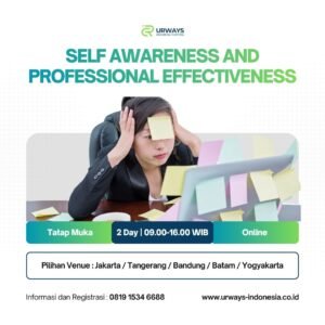 Self Awareness and Professional Effectiveness